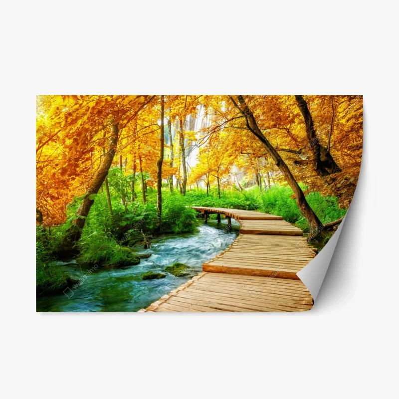 Wasserfälle – Wallnifity®