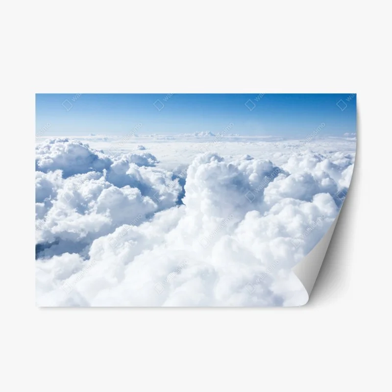 Fahrzeuge – Wallnifity®