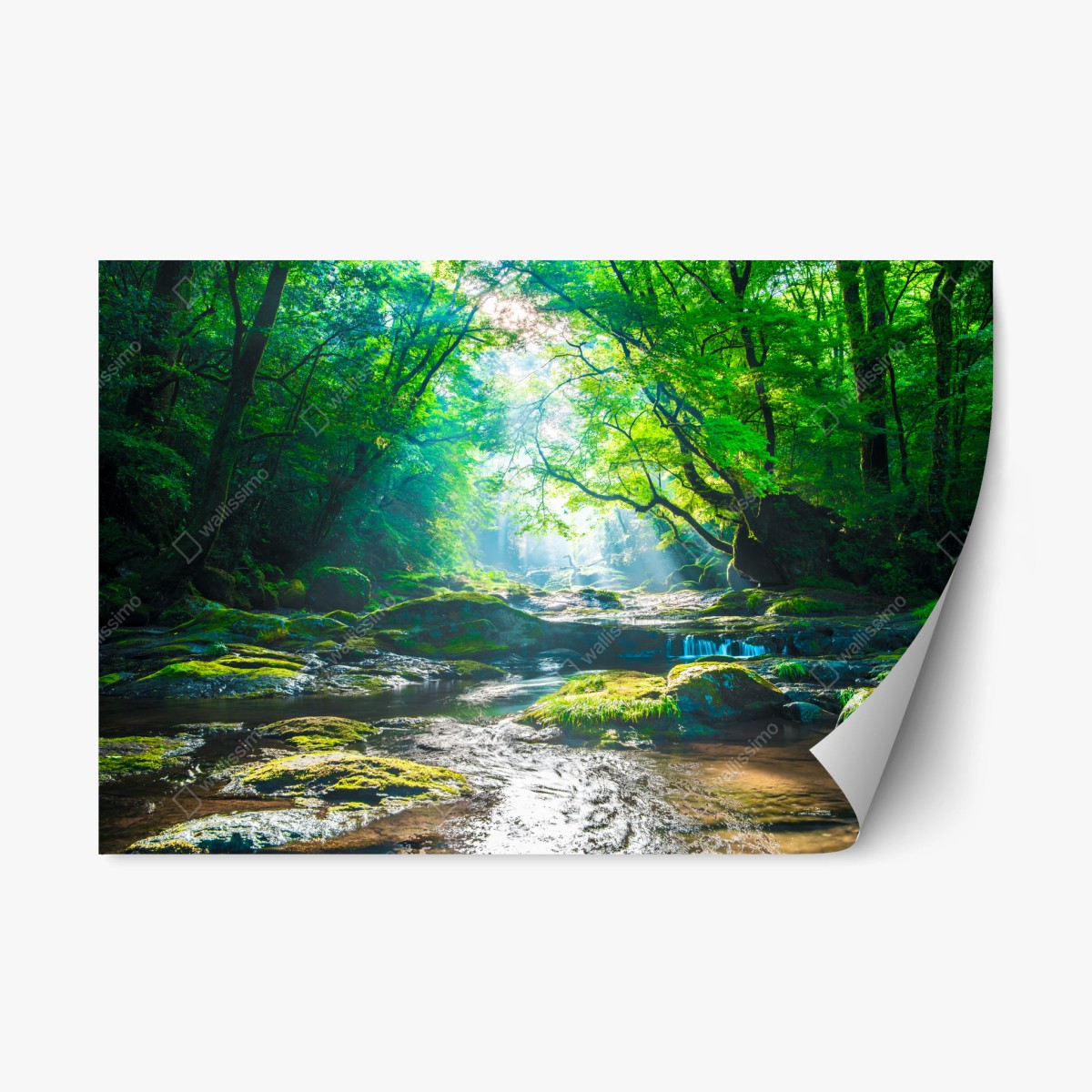 Repositionierbarer Aufkleber sonnendurchfluteter waldbach mit moosbedeckten steinen – Wallnifity®