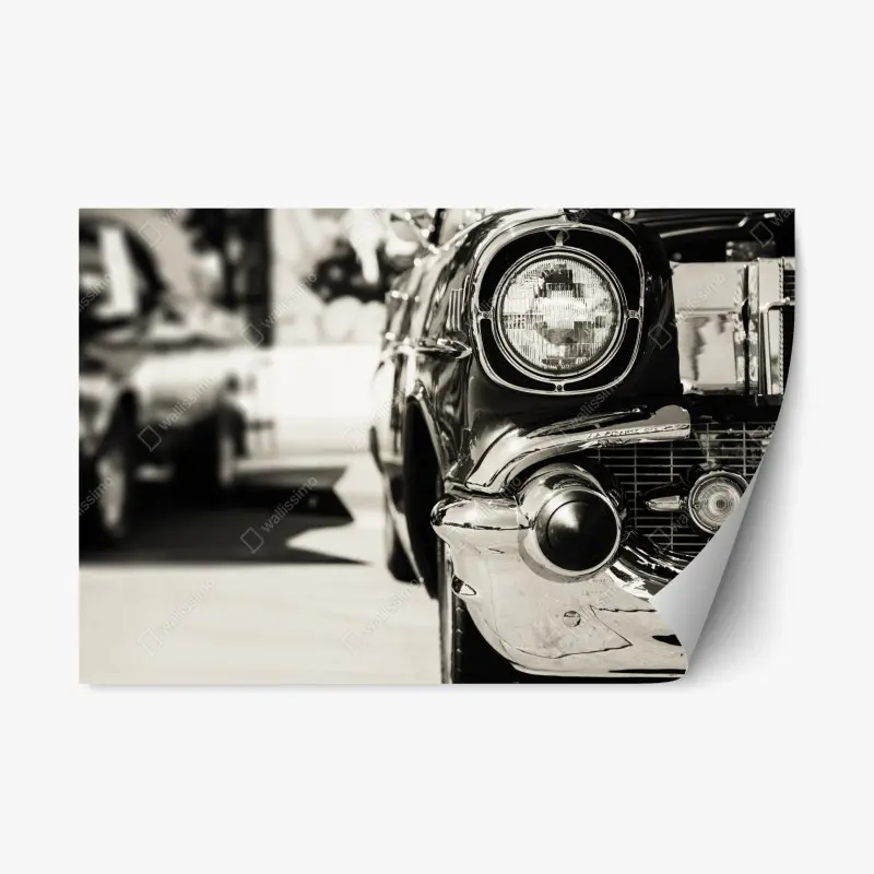 Fahrzeuge – Wallnifity®