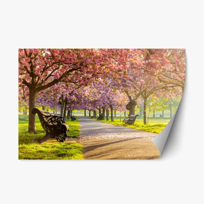 Repositionierbarer Aufkleber kirschblütenallee im frühling