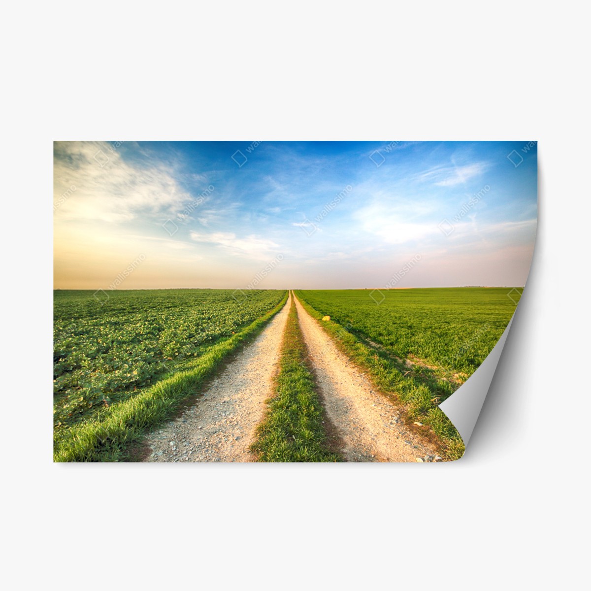 Repositionierbarer Aufkleber feldweg durch grüne felder – Wallnifity®