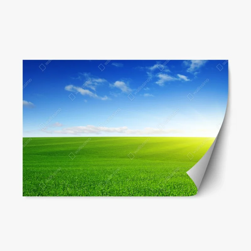 Repositionierbare Aufkleber – Wallnifity®