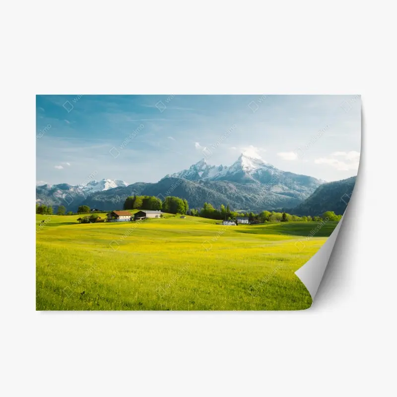 Natur – Wallnifity®