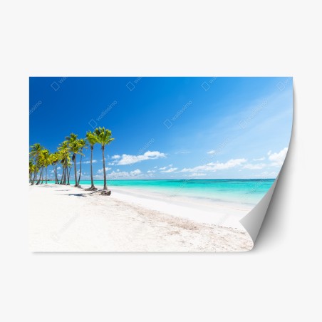 Repositionierbarer Aufkleber palmen am strand von Punta Cana – Wallnifity®