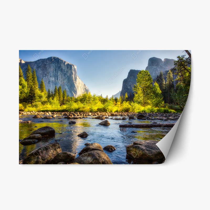Natur – Wallnifity®
