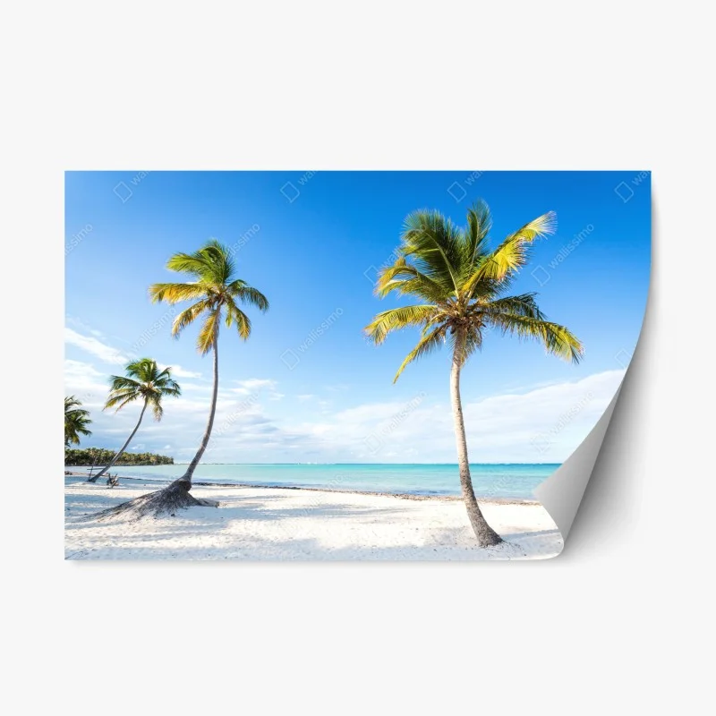 Natur – Wallnifity®