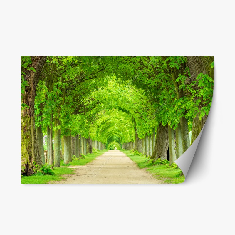 Wohnzimmer – Wallnifity®