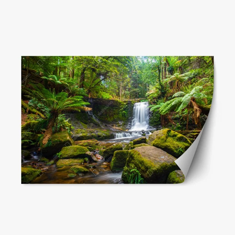 Wasserfälle – Wallnifity®