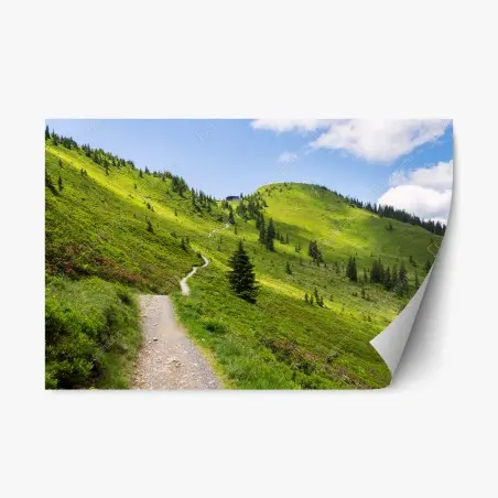 Repositionierbarer Aufkleber sonniger bergpfad durch grüne wiese – Wallnifity®