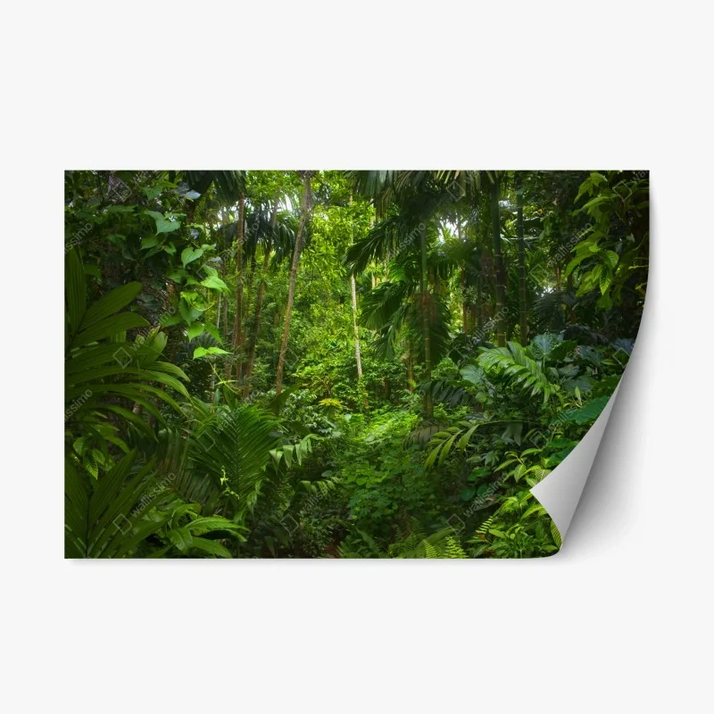 Natur – Wallnifity®