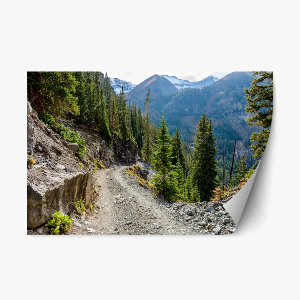 Repositionierbarer Aufkleber bergpfad durch alpinen wald – Wallnifity® Repositionierbarer Aufkleber bergpfad durch alpinen wald – Wallnifity®