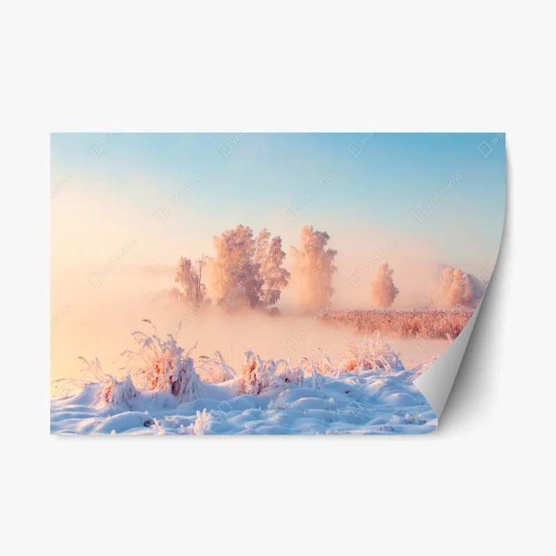 Jahreszeiten – Wallnifity®