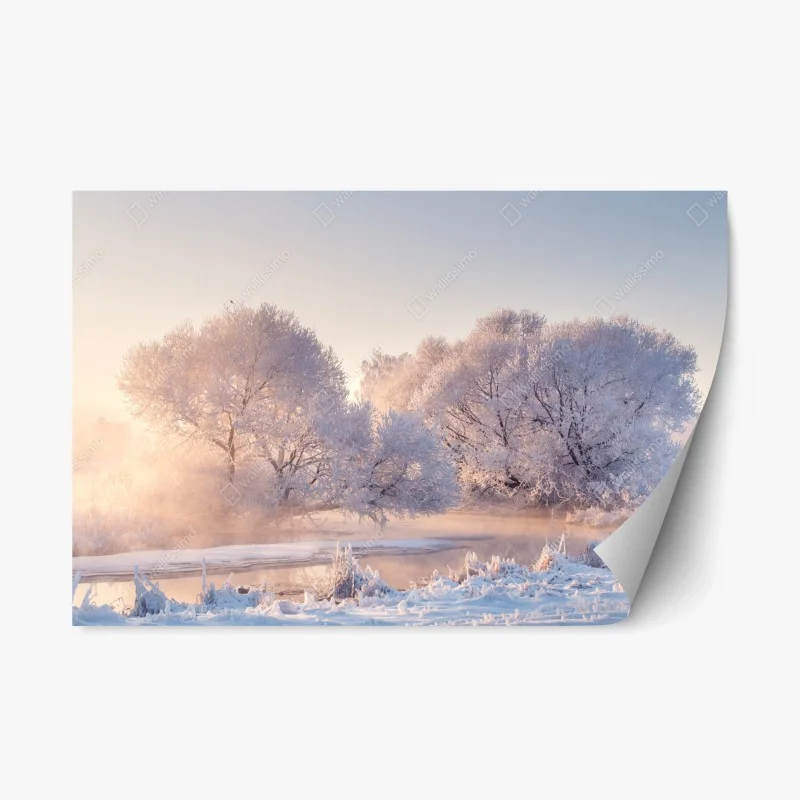 Jahreszeiten – Wallnifity®