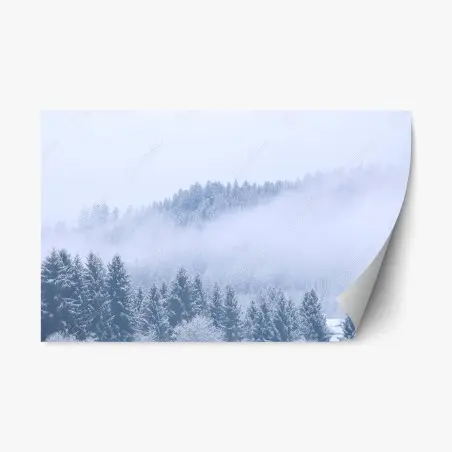 Repositionierbarer Aufkleber winternebel über nadelwald – Wallnifity®