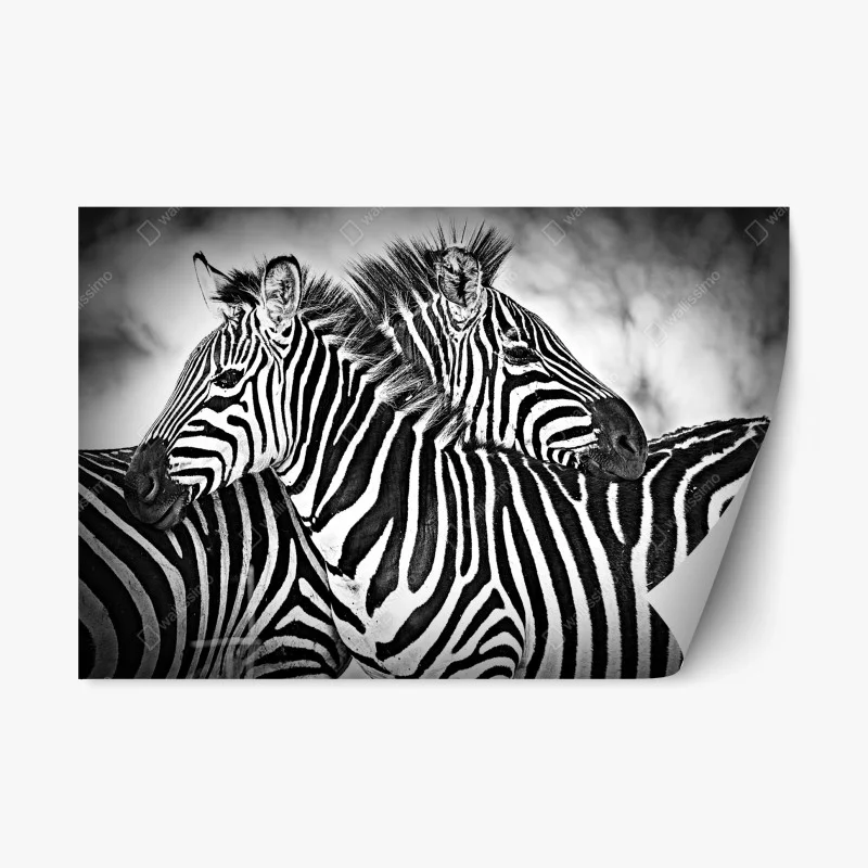 Tiere – Wallnifity®