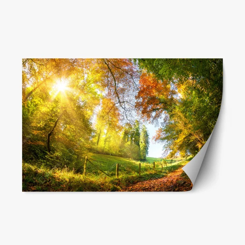 Repositionierbarer Aufkleber goldener herbstwaldweg – Wallnifity®