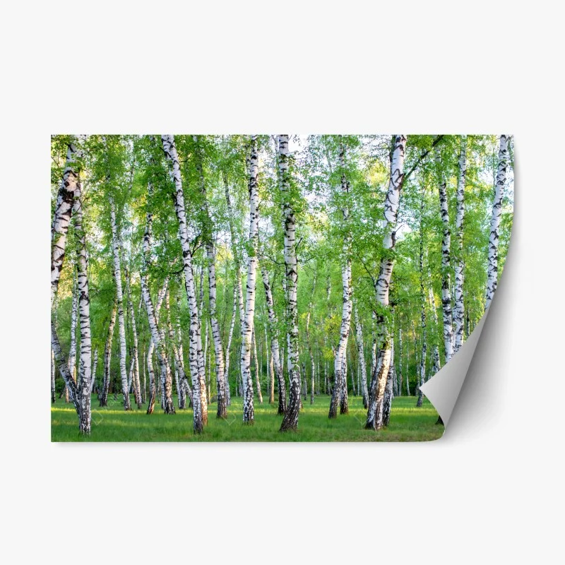 Natur – Wallnifity®