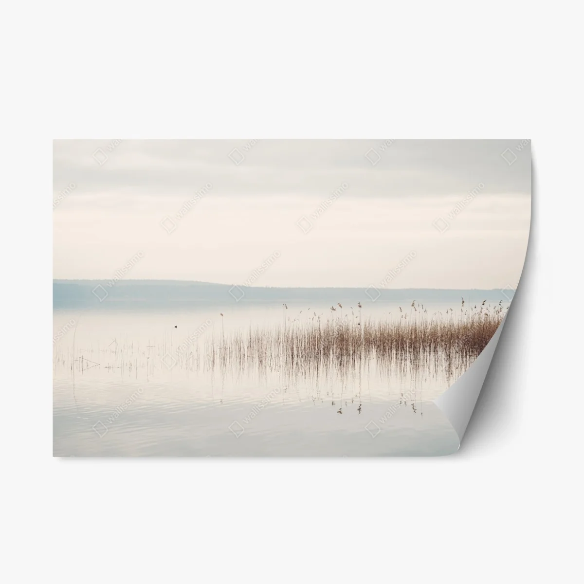 Repositionierbarer Aufkleber ruhige schilfzone am see – Wallnifity® Repositionierbarer Aufkleber ruhige schilfzone am see – Wallnifity®