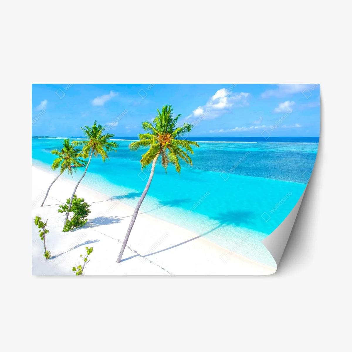 Repositionierbarer Aufkleber tropischer türkisfarbener strand mit palmen – Wallnifity® Repositionierbarer Aufkleber tropischer türkisfarbener strand mit palmen – Wallnifity®