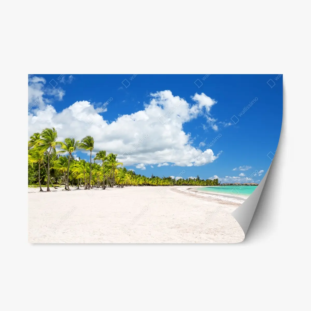 Repositionierbarer Aufkleber tropischer strand in Punta Cana – Wallnifity®