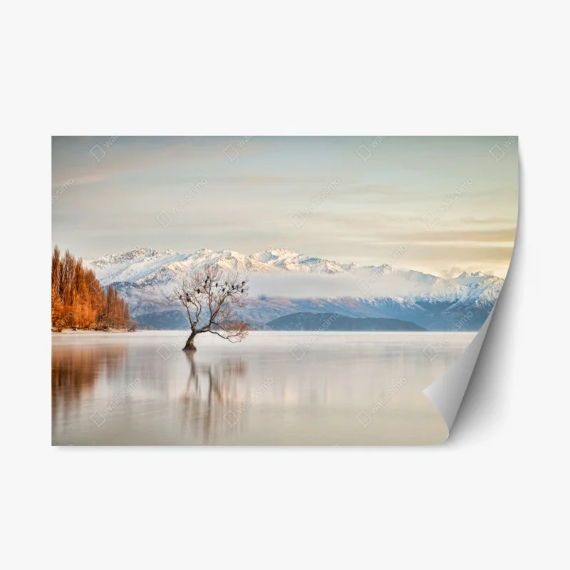 Repositionierbarer Aufkleber einsamer baum am see Wanaka – Wallnifity®
