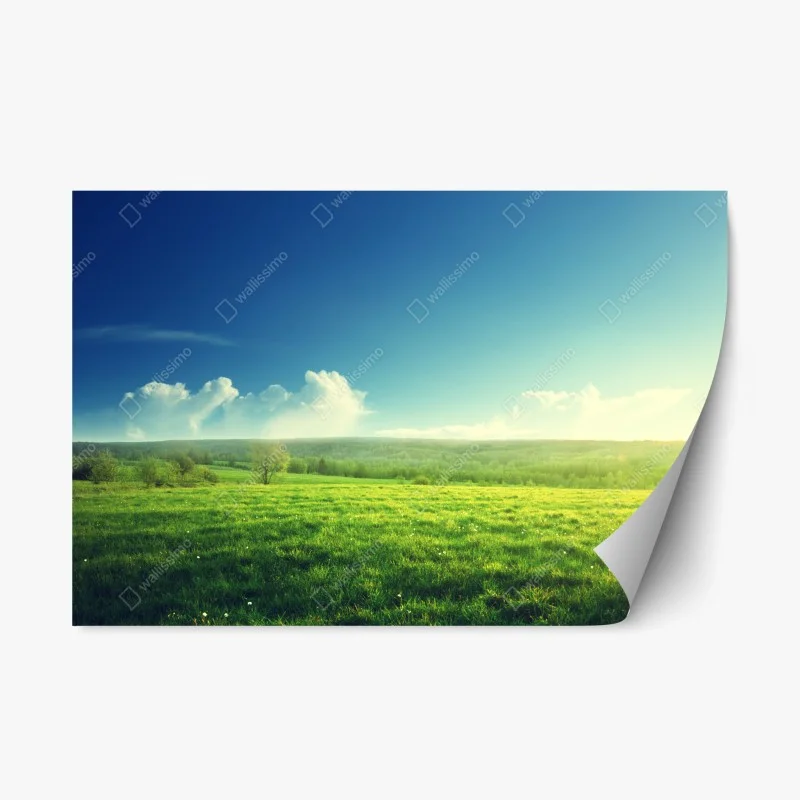 Wiesen – Wallnifity®