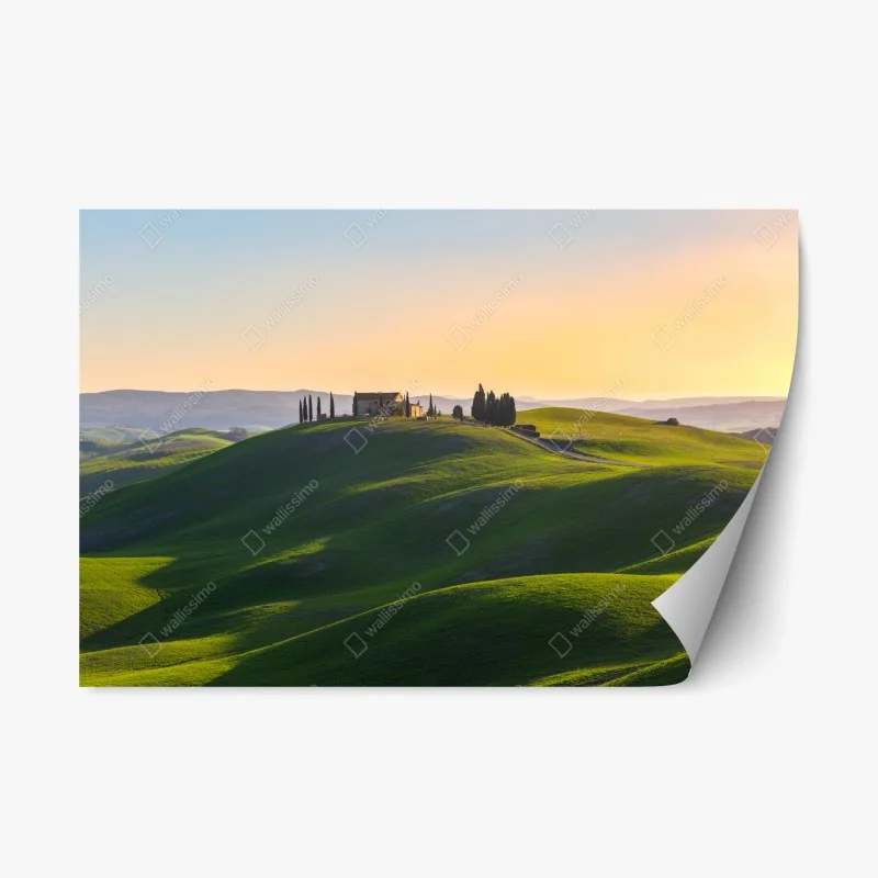 Rustikal – Wallnifity®