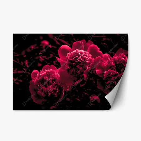 Repositionierbarer Aufkleber stimmungsvolle rosa pfingstrosen – Wallnifity®