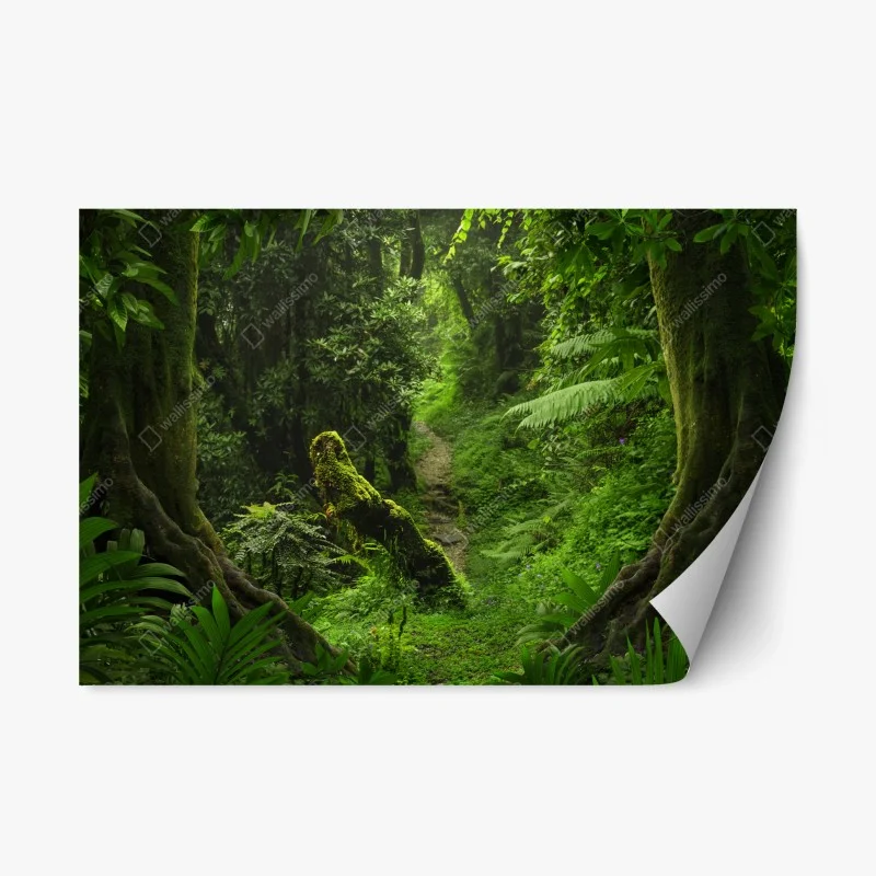 Repositionierbarer Aufkleber verzauberter moosiger waldpfad – Wallnifity®