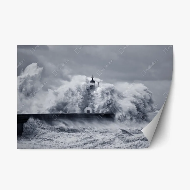 Meere & Ozeane – Wallnifity®