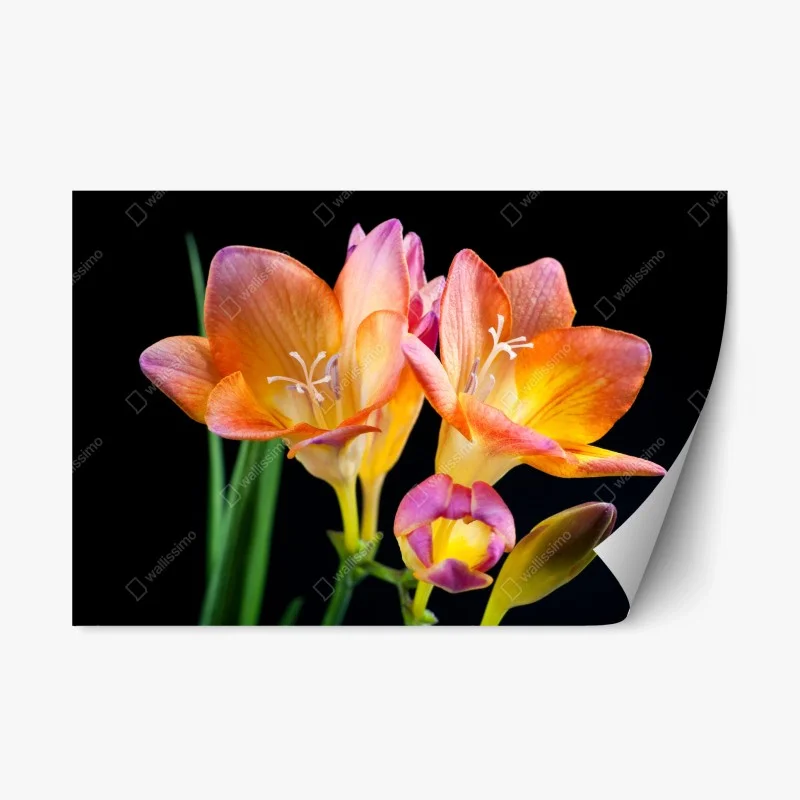 Schlafzimmer – Wallnifity®