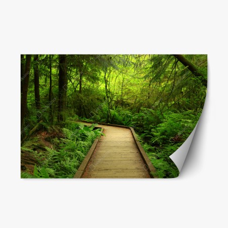 Repositionierbarer Aufkleber ruhiger grüner waldsteg – Wallnifity®