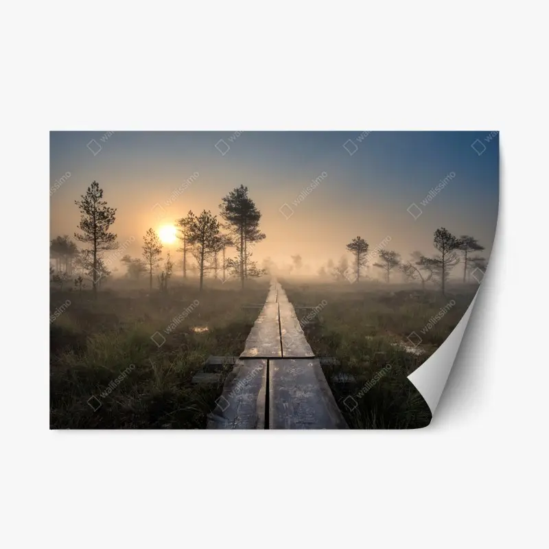Repositionierbarer Aufkleber nebliger sonnenaufgang über dem holzsteg