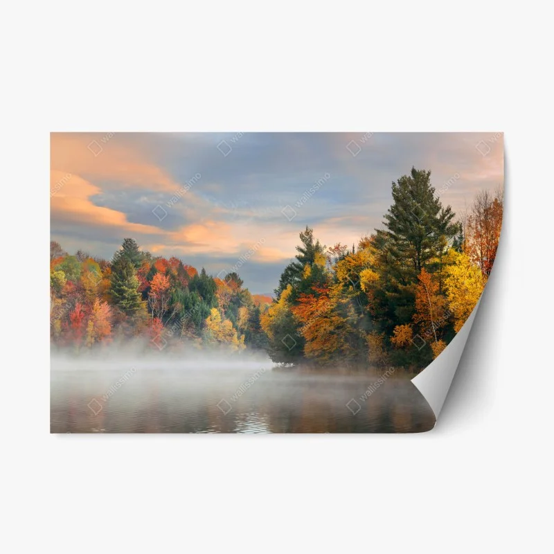 Rustikal – Wallnifity®