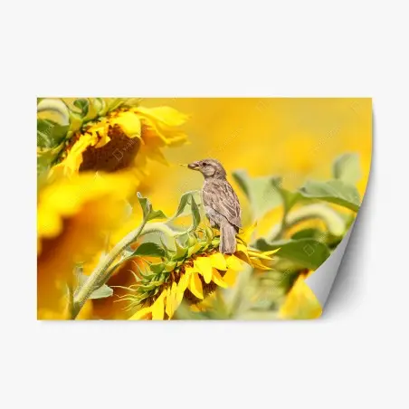 Repositionierbarer Aufkleber spatz auf einer sonnenblume – Wallnifity®