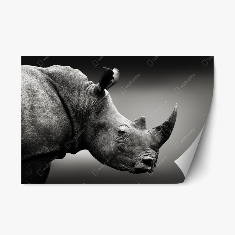 Wohnzimmer – Wallnifity®