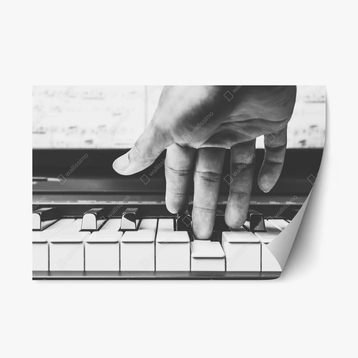 Repositionierbarer Aufkleber hand auf klaviertasten – Wallnifity® Repositionierbarer Aufkleber hand auf klaviertasten – Wallnifity®
