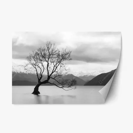 Repositionierbarer Aufkleber einsamer baum im see in schwarzweiß – Wallnifity®