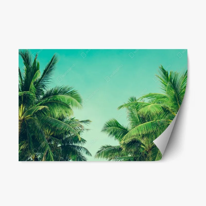 Natur – Wallnifity®