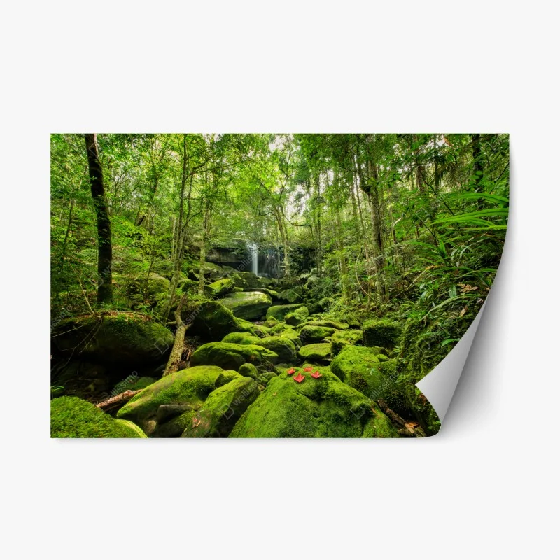 Natur – Wallnifity®