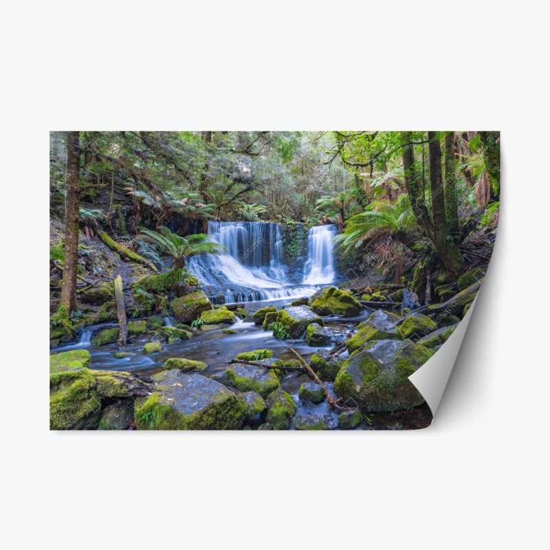 Biophil – Wallnifity®