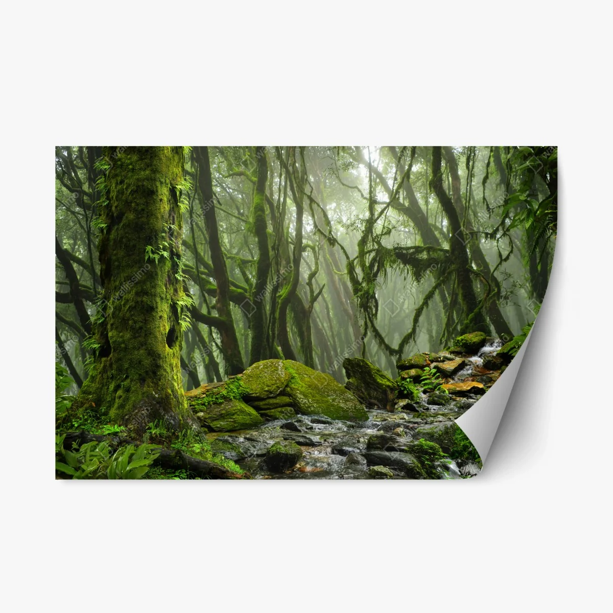 Repositionierbarer Aufkleber moosiger wald mit bach im nebel – Wallnifity® Repositionierbarer Aufkleber moosiger wald mit bach im nebel – Wallnifity®