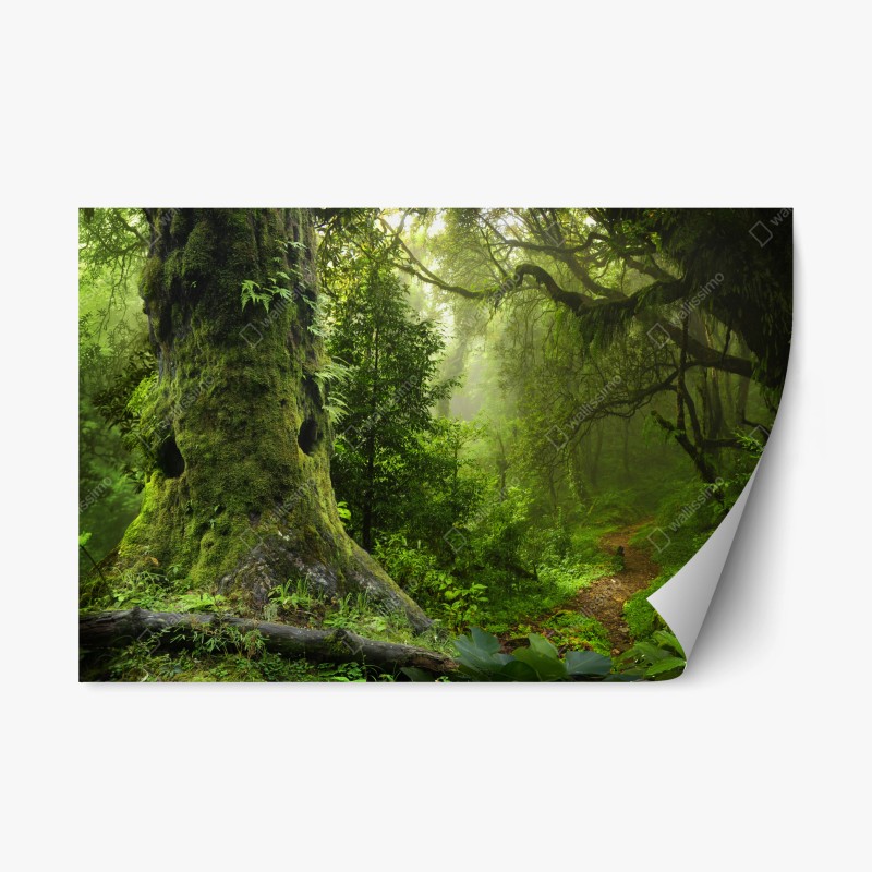 Wohnzimmer – Wallnifity®