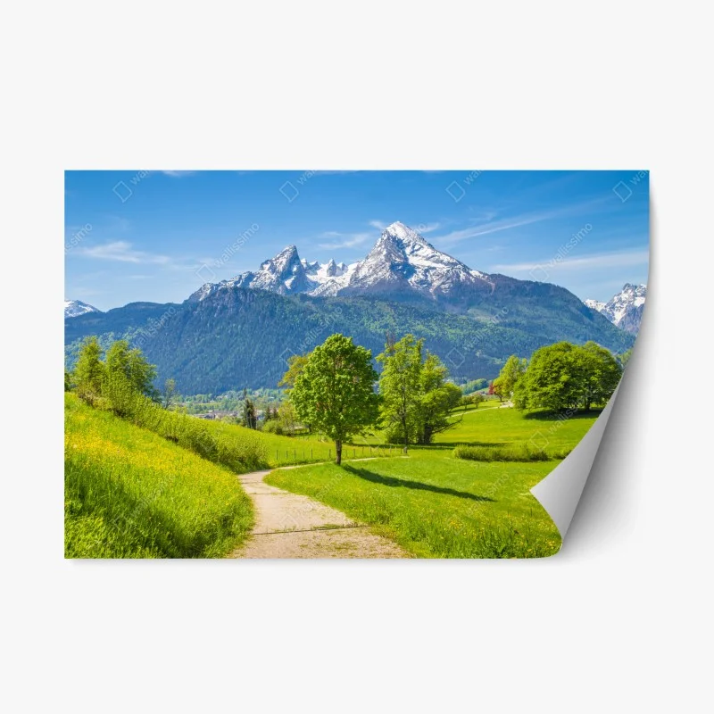 Natur – Wallnifity®