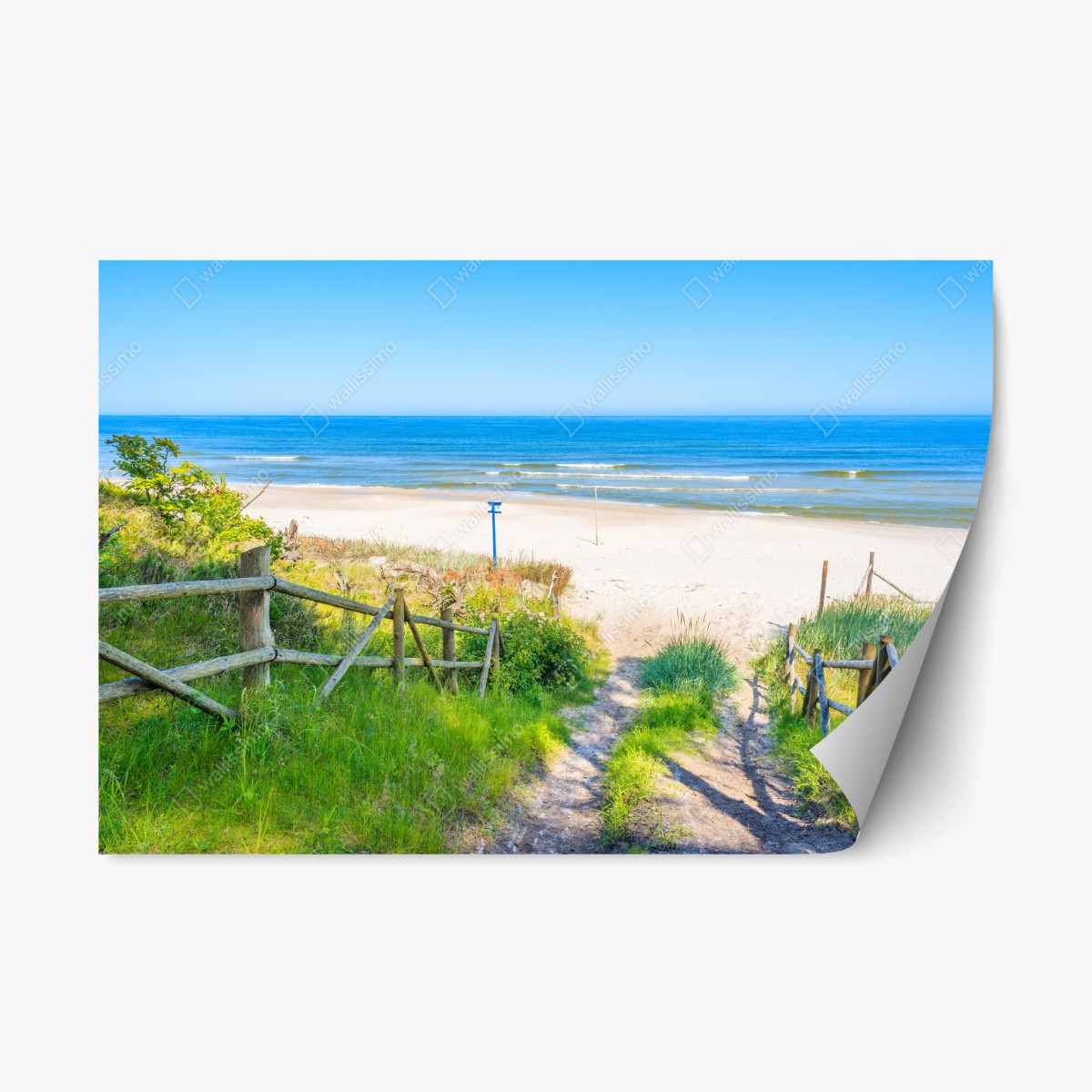 Repositionierbarer Aufkleber weg zum strand der Ostsee – Wallnifity®