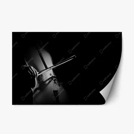 Repositionierbarer Aufkleber elegantes cello in monochrom – Wallnifity®