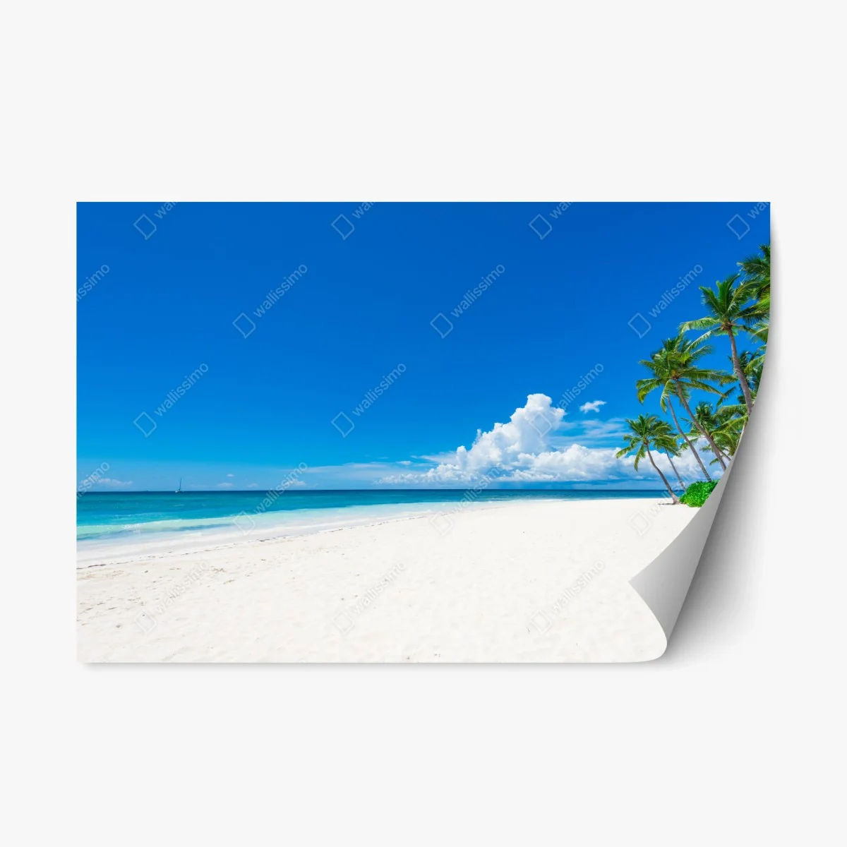 Repositionierbarer Aufkleber tropischer strand mit palmen – Wallnifity® Repositionierbarer Aufkleber tropischer strand mit palmen – Wallnifity®