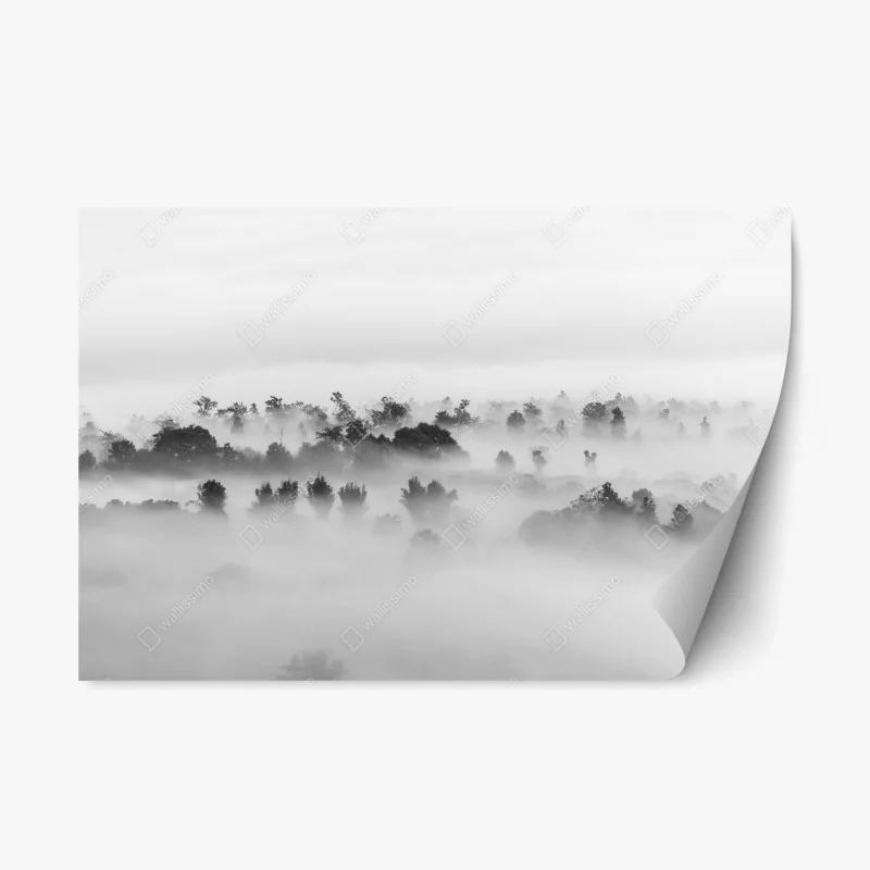 Repositionierbarer Aufkleber nebliger wald in monochrom