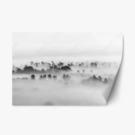 Repositionierbarer Aufkleber nebliger wald in monochrom – Wallnifity®